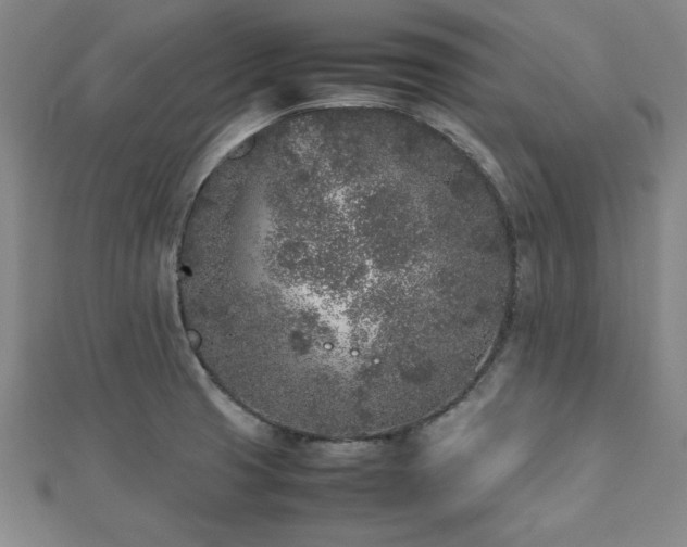 X0000112511425200908171324