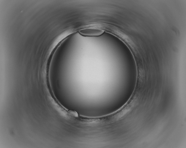 X0000112511426200908171324
