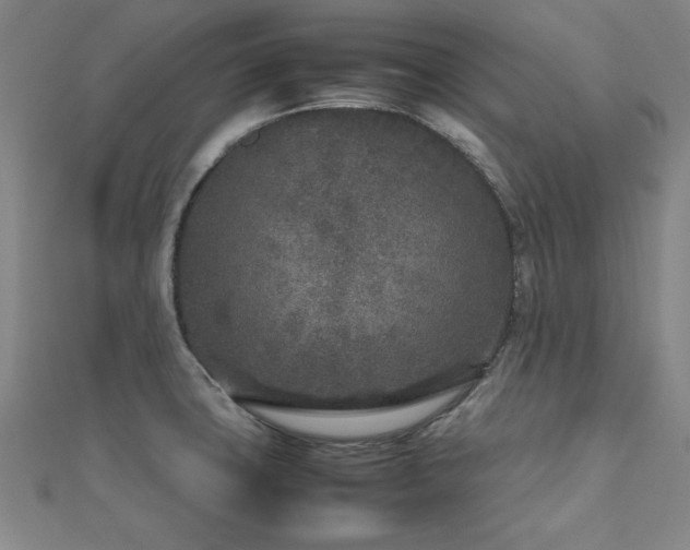 X0000112511427200908171324