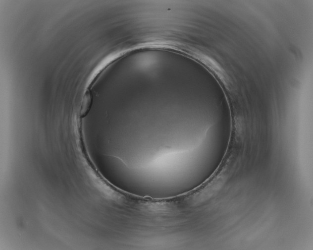 X0000112511428200908171324