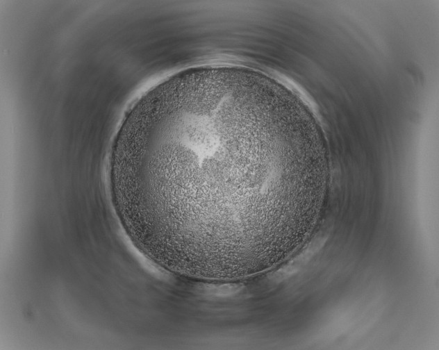 X0000112511429200908171324