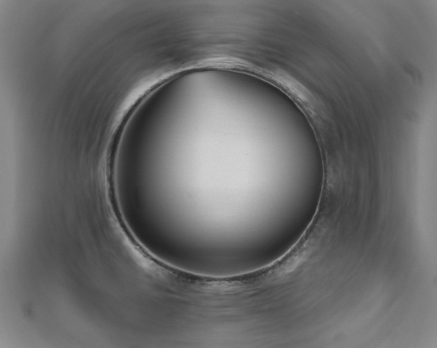 X0000112511430200908171324