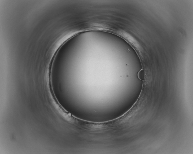 X0000112511431200908171324