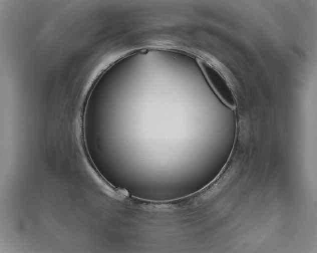 X0000112511432200908171324