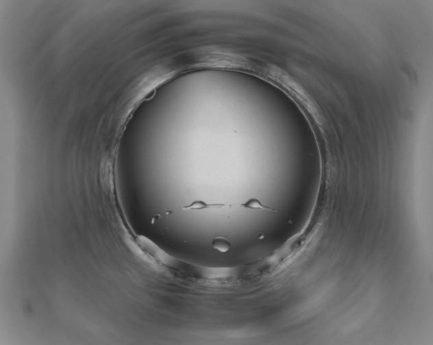 X0000112511433200908171324