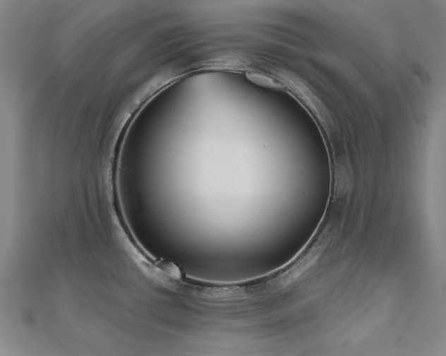 X0000112511434200908171324