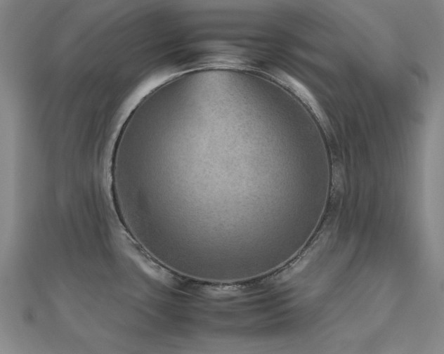 X0000112511435200908171324