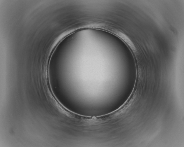 X0000112511436200908171324