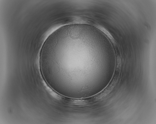 X0000112511439200908171324