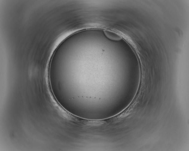 X0000112511440200908171324