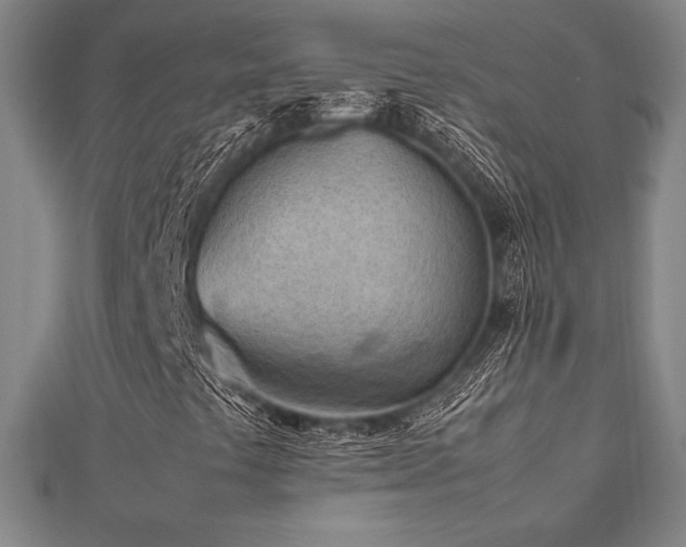 X0000112511441200908171323