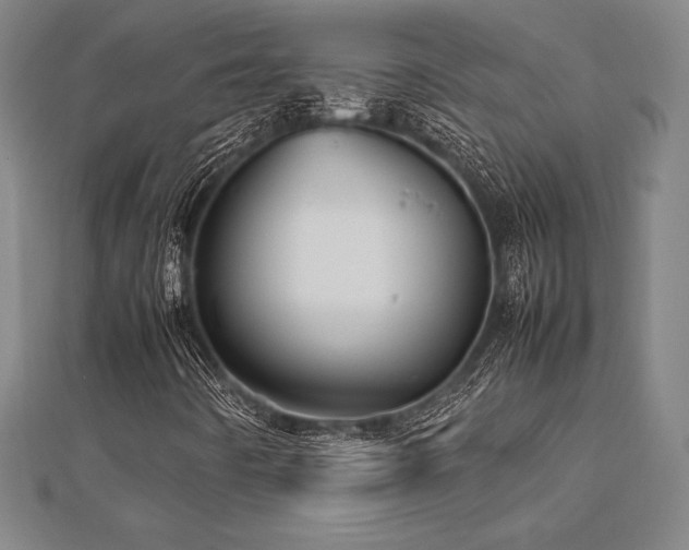 X0000112511442200908171323