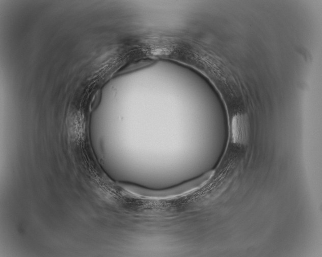 X0000112511443200908171323