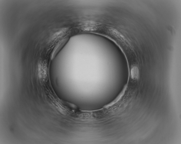 X0000112511444200908171323