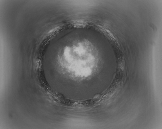 X0000112511445200908171323