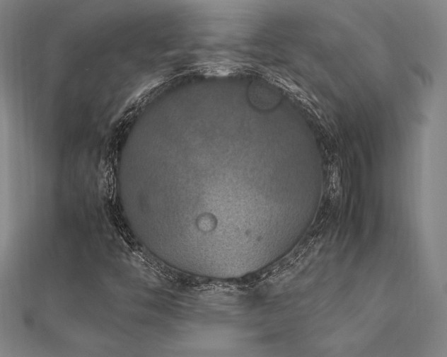X0000112511446200908171323