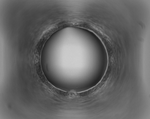 X0000112511447200908171323