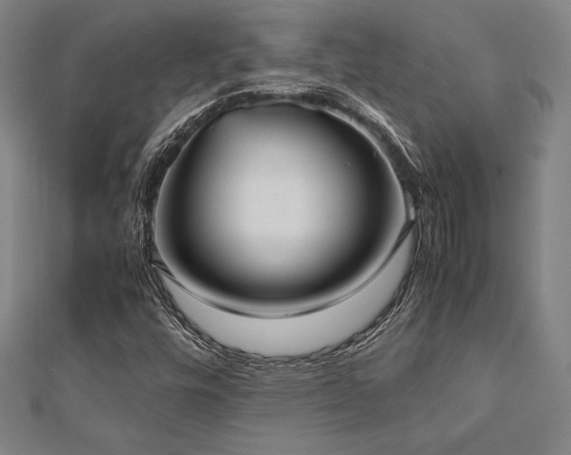 X0000112511448200908171323