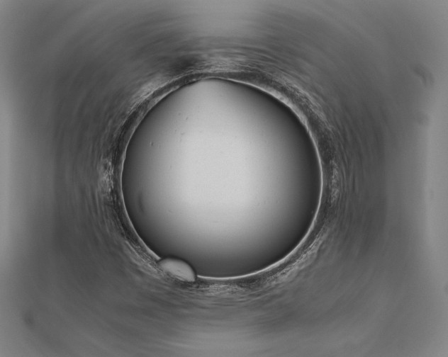 X0000112511449200908171323