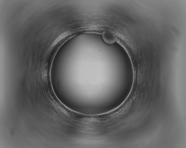 X0000112511450200908171323