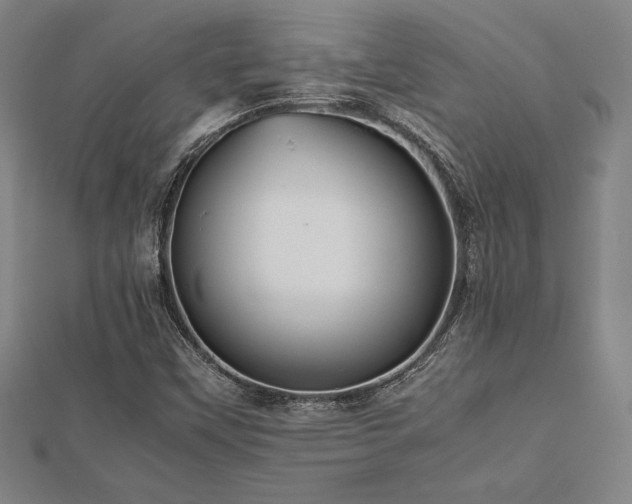 X0000112511451200908171323