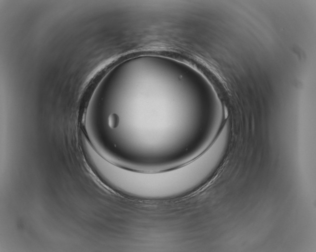X0000112511452200908171323