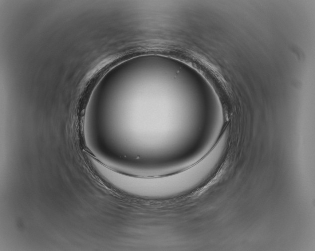 X0000112511453200908171323
