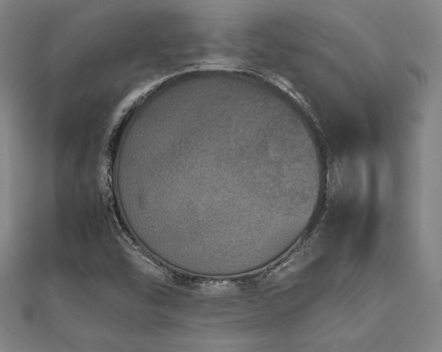 X0000112511454200908171323