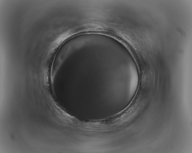 X0000112511455200908171323