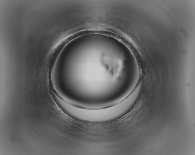 X0000112511456200908171323