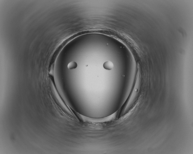 X0000112511457200908171323
