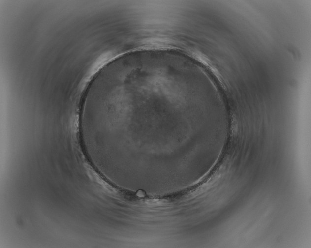 X0000112511459200908171323