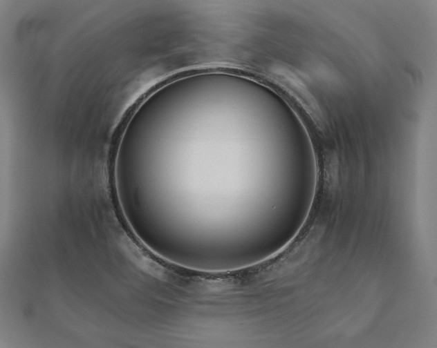 X0000112511460200908171323