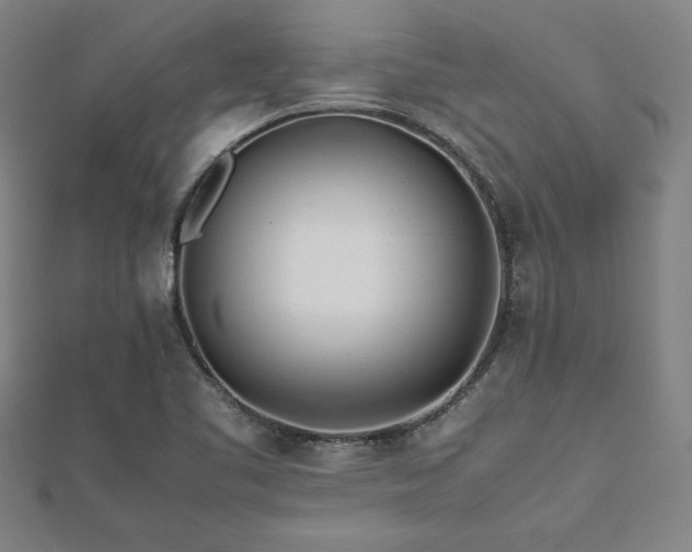 X0000112511461200908171323