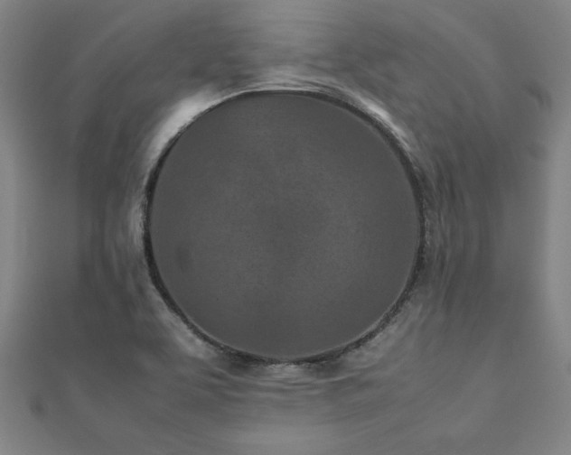 X0000112511463200908171323