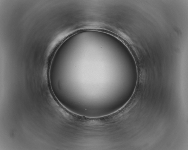 X0000112511464200908171323