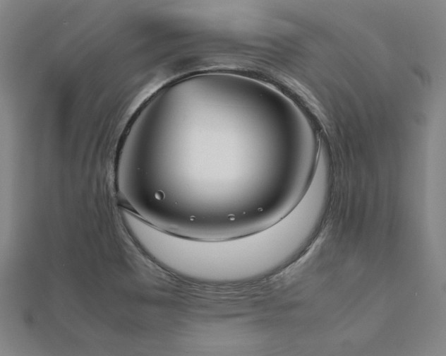 X0000112511465200908171323