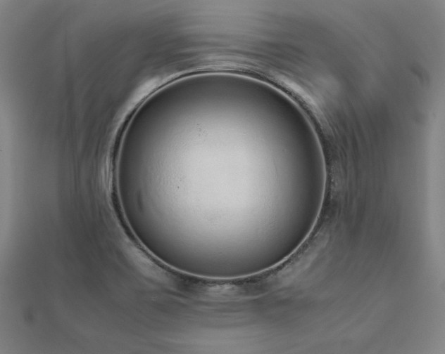 X0000112511467200908171323