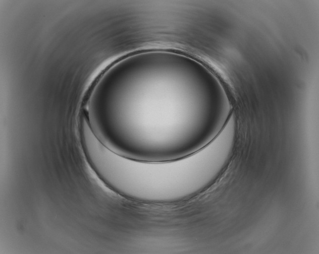 X0000112511468200908171323