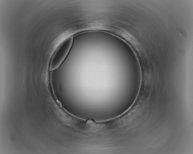 X0000112511469200908171323