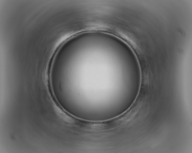 X0000112511471200908171323