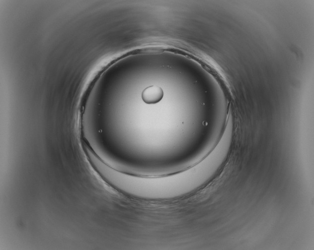 X0000112511472200908171323