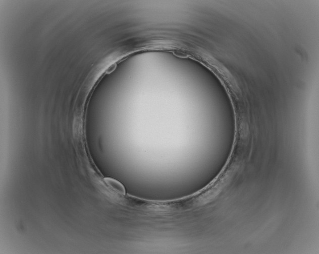 X0000112511473200908171323