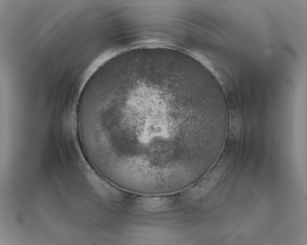 X0000112511474200908171323