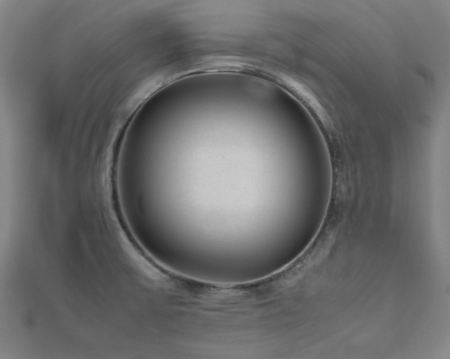 X0000112511475200908171323
