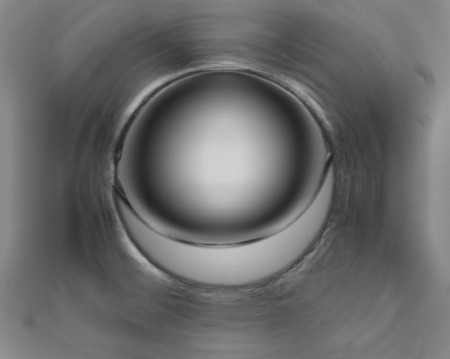 X0000112511476200908171323