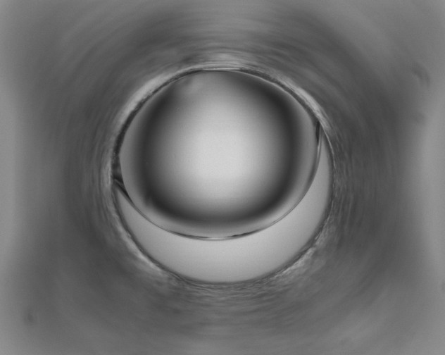 X0000112511477200908171323
