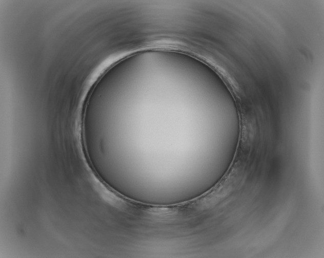 X0000112511478200908171323