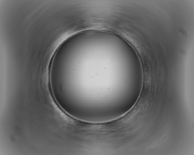 X0000112511479200908171323