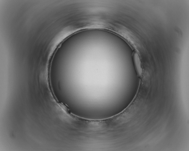 X0000112511480200908171323